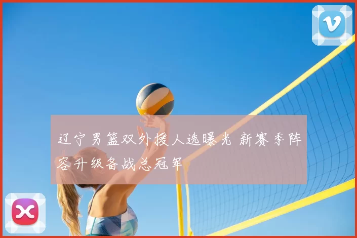 辽宁男篮双外援人选曝光 新赛季阵容升级备战总冠军